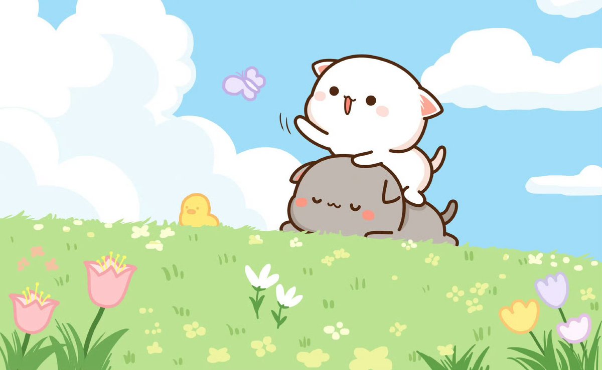 Nos bouquets de peluches